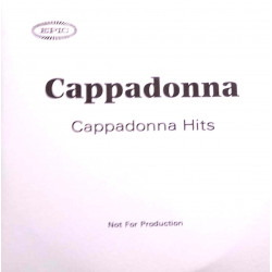 (CD) Cappadonna - Cappadonna Hits feat Supermodel / Slang editorial / Love is the message / Oh Donna / Run / We know / Black boy