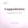 (CD) Cappadonna - Cappadonna Hits feat Supermodel / Slang editorial / Love is the message / Oh Donna / Run / We know / Black boy