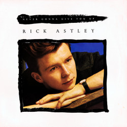 Rick Astley - Never Gonna Give You Up (Escape To New York Mix / Cake Mix / Inst / Escape From Newton Mix) SEALED US Vinyl