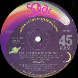 Dynasty - Ive Just Begun To Love You / When You Feel Like Giving Love (12" Vinyl Record)