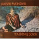 Stevie Wonder - Talking Book (10 Track LP) inc Superstition / You Got It Bad / I Believe & You Are The Sunshine