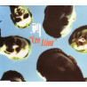 (CD) JTQ - Creation (3 Mixes) / Dont let money be your god