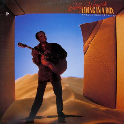 Bobby Womack - Living In A Box (Paradise Mix / Radio Mix / Instrumental) 12" Vinyl Record