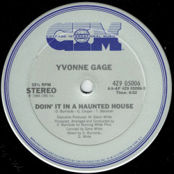 Yvonne Gage - Doin It In A Haunted House (Extended / Instrumental) 12" Vinyl Record