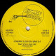 Lonnie Liston Smith - Say You Love Me (Remix / Jazz Mix) 12" Vinyl Record