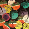 69 Boys - Woof Woof (Club Mix / Edit / Inst) 12" Vinyl Record Promo