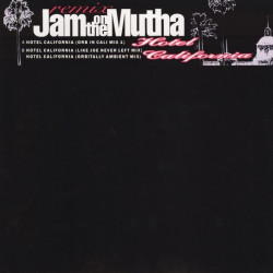 Jam On The Mutha - Hotel California (Orb In Cali Mix 1 / Orbitally Ambient Mix / Like Joe Never Left Mix)