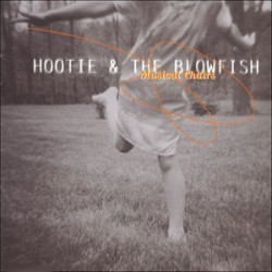 (CD) Hootie & The Blowfish - Musical Chairs featuring I will wait / Wishing / Las Vegas nights / Only lonely / Answer man