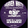 Dougal & Evolution – Heaven Waits / Virtual Reality (Mix 1 / Mix 2) 12" Vinyl Record