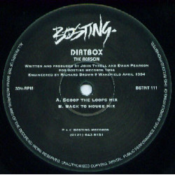 Dirtbox - The Reason (Scoop The Loops Mix / Back To House Mix) 12" Vinyl Record