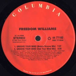 Freedom - Groove Your Mind (MAW Bolero Groove Mix / Masters At Work Dub / Street Groove / MAW Dub Groove / Extended Version)