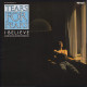 Tears For Fears - I Believe (A Soulful Re Recording) / Sea Song / Shout (US Remix) 12" Vinyl Record
