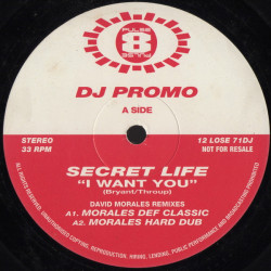 Secret Life - I Want You (David Morales Def Classic Mix / Morales Dub / Play Boys Club Mix / Play Boys Dub) Vinyl Promo