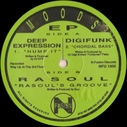 Deep Expression - Hump It / Digifunk - Chordal Bass / Rasoul - Rasouls Groove (Moods EP) Vinyl 12"