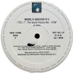 Morels Grooves Pt 5 - I Feel It (Sound Factory Mix) / Rochelle Fleming - Danger (Underground Danger Mix) Disc 3 Only