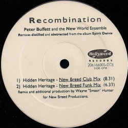 Peter Buffett And The New World Ensemble - Hidden Heritage (2 New Breed Mixes) / The Dream (The Angel Steps Remix)