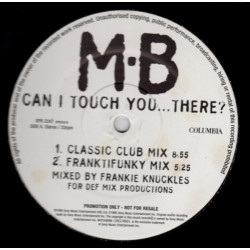 Michael Bolton - Can I Touch You (Frankie Knuckles Club Mix / Franktifunky Mix / Franktification Dub / Mokram Mix) 12" Promo