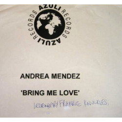 Andrea Mendez - Bring Me Love (Eventual Vocal Mix / Eventual Dub) 12" Vinyl Promo
