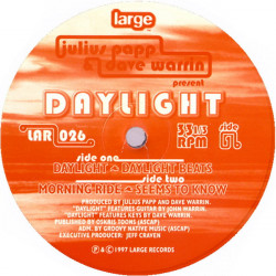 Julius Papp & Dave Warrin - Daylight / Beats / Morning Ride / Seems To Know (12" Vinyl Record)