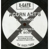 Acorn Arts - Silence / Mother / Body (12" Vinyl Record) Promo