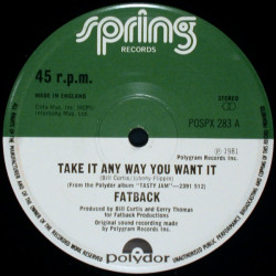 Fatback - Take It Anyway You Want It / Lady Groove (12" Vinyl Record)
