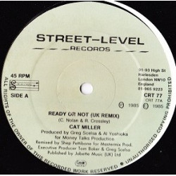 Cat Miller - Ready Or Not (Shep Pettibone UK Remix / Instrumental) 12" Vinyl Record