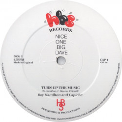 Roy Hamilton & Capiche - Turn Up The Music (Vocal Mix / Instrumental) 12" Vinyl Record Looks Unplayed
