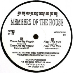 Members Of The House - These Are My People (Vocal / Instrumental) / Feel The Fire (Vocal / Instrumental) 12" Vinyl