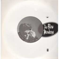 Blow Monkeys - Digging Your Scene (Long Version / Short Version) 12" Vinyl Promo