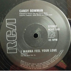 Candy Bowman - I Wanna Feel Your Love / Since I Found You (12" Vinyl Record)  Rare Hardly Played