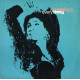 Kicking Back With Taxman - Everything (Long Mix / Meltdown Mix / Kickin Mix) 12" Vinyl Record