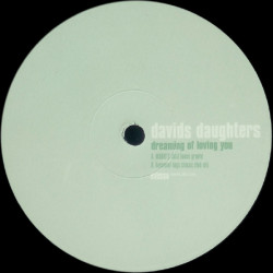 Davids Daughters - Dreaming Of Loving You (MARKS Solid House Groove / Basement Boys Classic Mix) Vinyl Promo