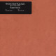 Music Instructor Feat Flying Steps - Super Sonic (Brainbug Remix / Extended / Dee Jay Soren Electro Mix) 12" Vinyl