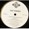Ant Banks - I Think I Wanna Die (LP Version / Radio Mix / Acappella / Radio Remix / Remix Inst) / Sound Of Lead (Feat Spice One)