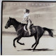 Sophie B Hawkins - Right Beside You (Bobby DAmbrosio Classic Club Mix / Hard Floor Mix / LP Version / Radio Edit)
