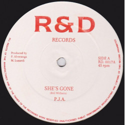 P.J.A - She Is Gone (2 Mixes)