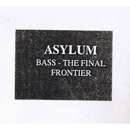 Asylum - Bass The Final Frontier (Logical Mix / Warped Mix / Drum Beats) Vinyl Promo