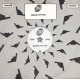 DJ Rap – Divine Rhythm / Desire (Vinyl Promo)