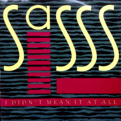 Sass Featuring Grover Washington Jnr - I Didnt Mean It At All / City Life