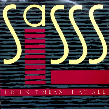 Sass Featuring Grover Washington Jnr - I Didnt Mean It At All / City Life