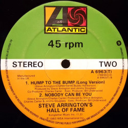 Steve Arringtons Hall Of Fame - Nobody Can Be You / Hump To The Bump (Long Version / Edit)