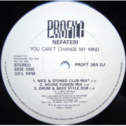 Nefateri - You Cant Change My Mind (Stonebridge Club Mix / House Fusion Mix / Drum & Bass Dub / Principles Horn Mix) Promo