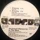 Orchestral Manoeuvres In The Dark - Dreaming (Club Mix / Radio Mix / Dub) / Satellite (Vinyl Promo)