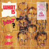 Beat - What Is Beat (The Best Of The Beat 2LP) 23 Classics All The Hits Including An LP Of 12" Versions (Double Vinyl)
