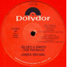 James Brown - Stone To The Bone / The Payback / There It Is / Blues & Pants (Vinyl Promo)
