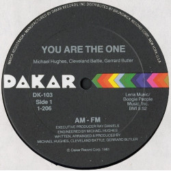 AM FM - You Are The One (Vocal Mix / Instrumental)  Vinyl Looks Unplayed