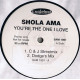 Shola Ama - Youre The One I Love (DI Paradise Mix / DI Paradise Dub / C&J Streetmix / Dodge Mix) Vinyl Promo
