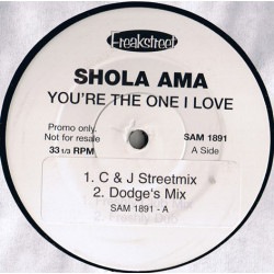 Shola Ama - Youre The One I Love (DI Paradise Mix / DI Paradise Dub / C&J Streetmix / Dodge Mix) Vinyl Promo
