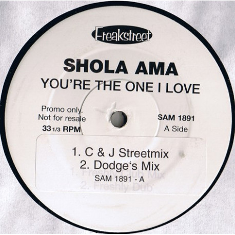 Shola Ama - Youre The One I Love (DI Paradise Mix / DI Paradise Dub / C&J Streetmix / Dodge Mix) Vinyl Promo