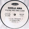 Shola Ama - Youre The One I Love (DI Paradise Mix / DI Paradise Dub / C&J Streetmix / Dodge Mix) Vinyl Promo